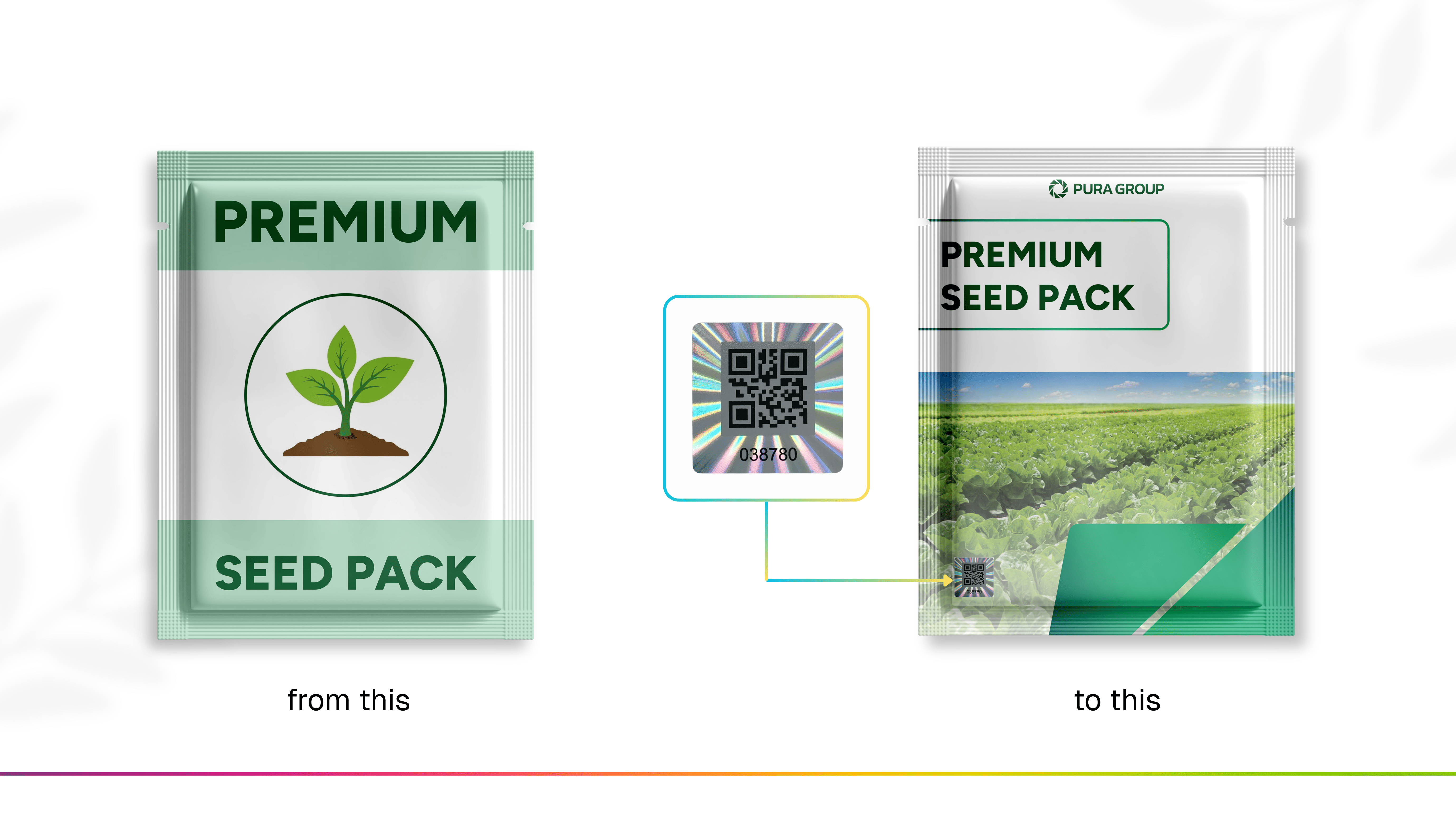 Body Picture Pura Group